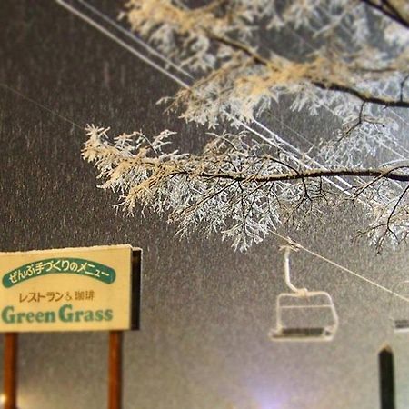 Pension & Restaurant Green Grass Hakuba Kültér fotó