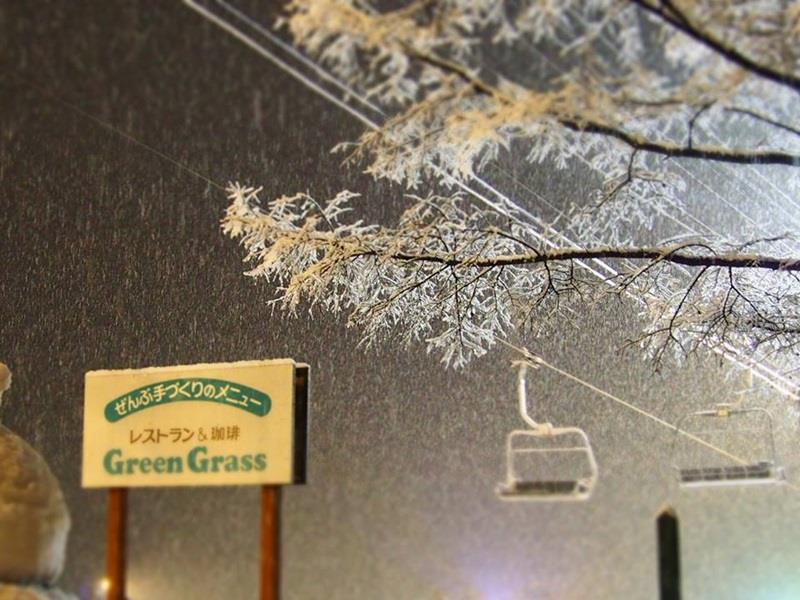 Pension & Restaurant Green Grass Hakuba Kültér fotó